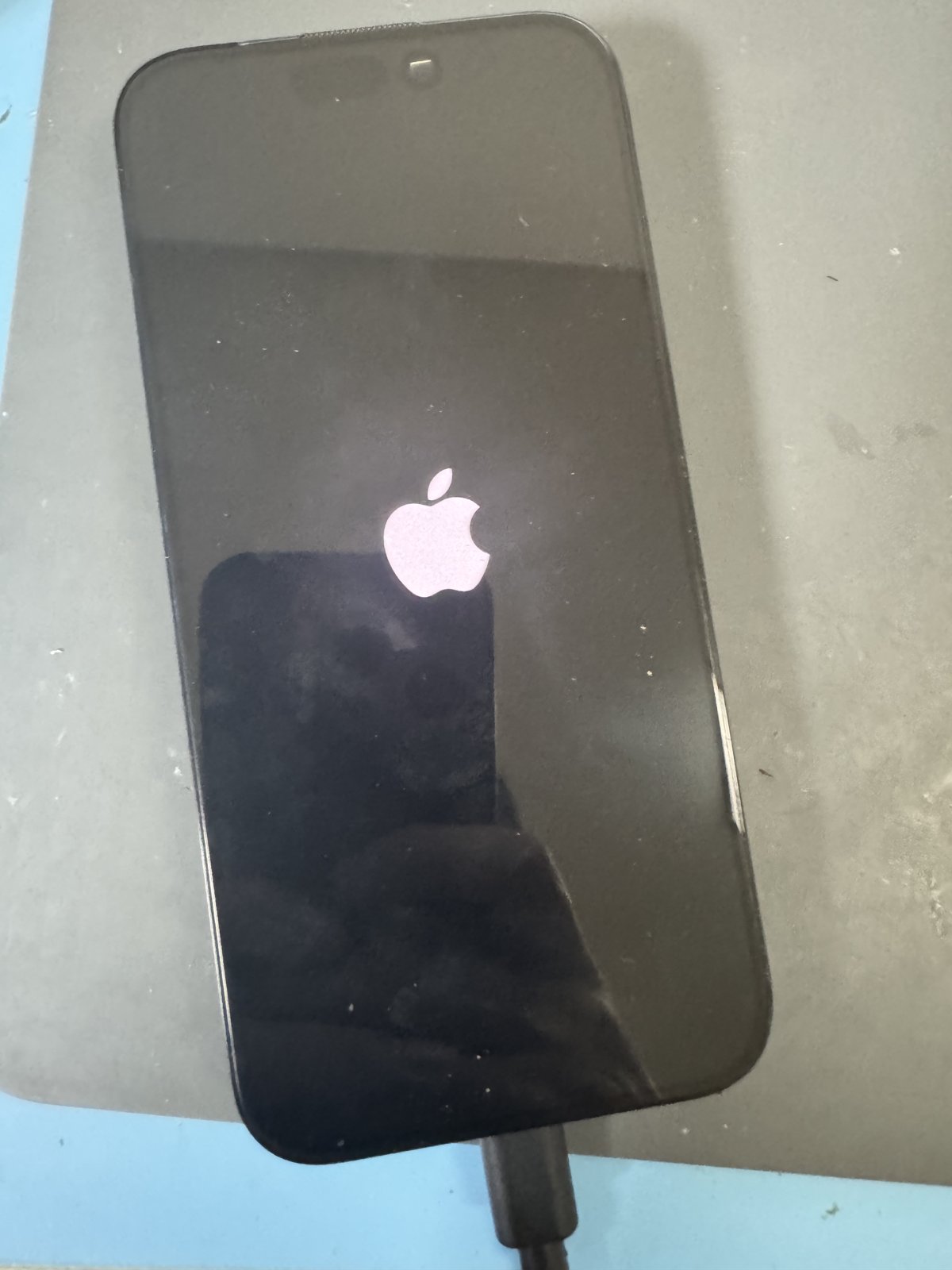 部品移植後に起動し、Appleロゴが表示された画面