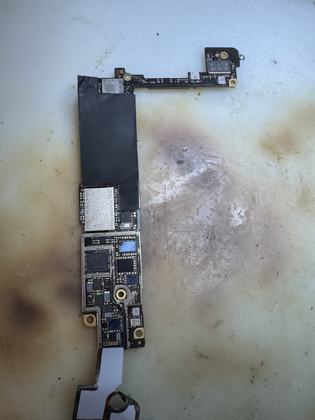 iPhone SE（第3世代）の基板を取り出した状態。焼損や腐食などの目立った異常は見られない