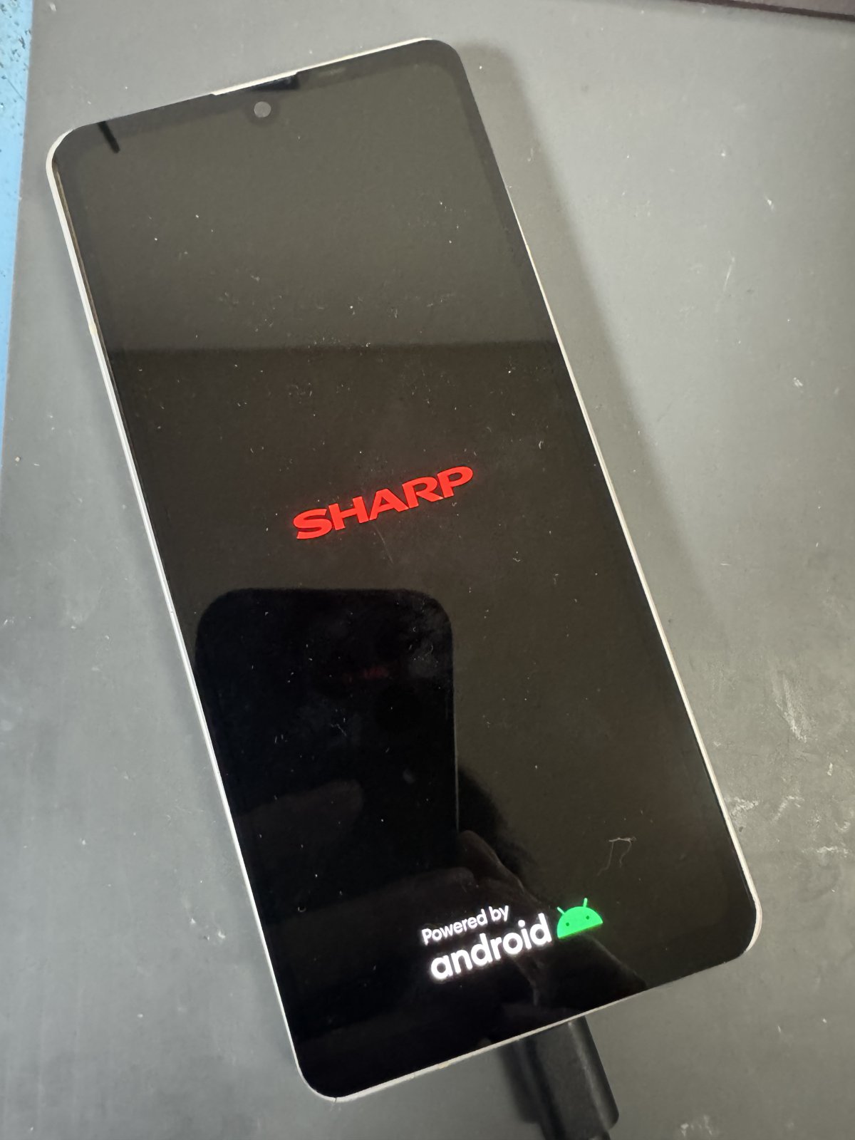 起動してSHARPのロゴが表示された本体