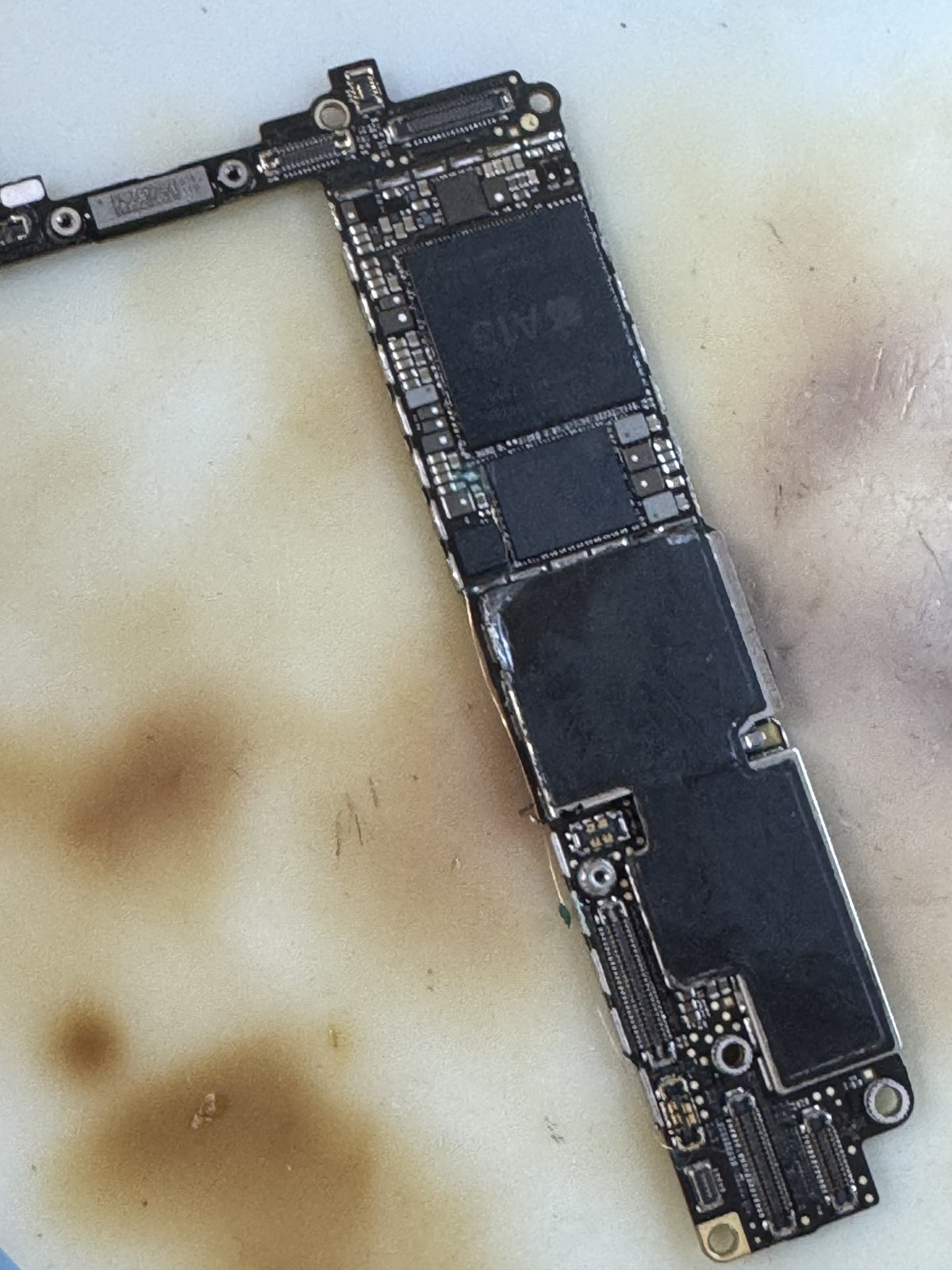 取り出したiPhone SE(第2世代)の基板全体
